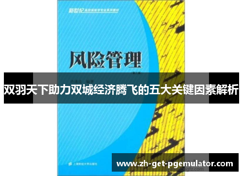 双羽天下助力双城经济腾飞的五大关键因素解析 双羽天下助力双城经济腾飞的五大关键因素解析