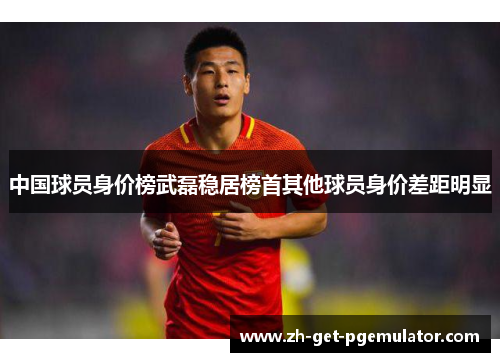 中国球员身价榜武磊稳居榜首其他球员身价差距明显