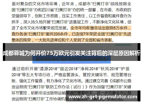 成都蓉城为何开价75万欧元引发关注背后的深层原因解析 成都蓉城为何开价75万欧元引发关注背后的深层原因解析