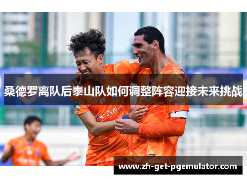 桑德罗离队后泰山队如何调整阵容迎接未来挑战
