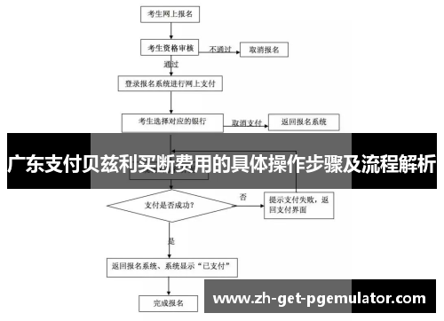 广东支付贝兹利买断费用的具体操作步骤及流程解析