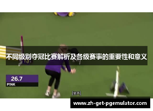 不同级别夺冠比赛解析及各级赛事的重要性和意义 不同级别夺冠比赛解析及各级赛事的重要性和意义