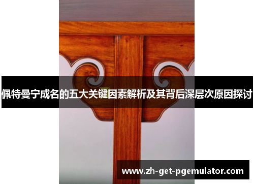 佩特曼宁成名的五大关键因素解析及其背后深层次原因探讨