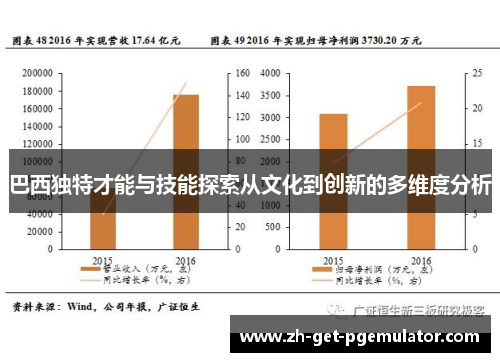 巴西独特才能与技能探索从文化到创新的多维度分析