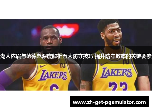 湖人浓眉与范德彪深度解析五大防守技巧 提升防守效率的关键要素