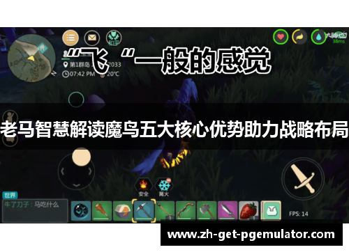 老马智慧解读魔鸟五大核心优势助力战略布局