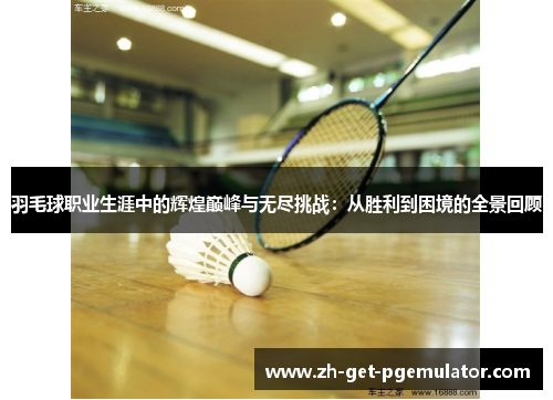 羽毛球职业生涯中的辉煌巅峰与无尽挑战:从胜利到困境的全景回顾 羽毛球职业生涯中的辉煌巅峰与无尽挑战:从胜利到困境的全景回顾