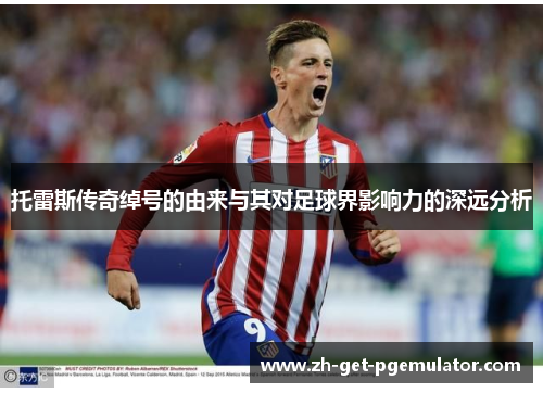 托雷斯传奇绰号的由来与其对足球界影响力的深远分析 托雷斯传奇绰号的由来与其对足球界影响力的深远分析