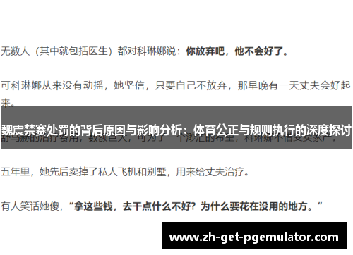 魏震禁赛处罚的背后原因与影响分析:体育公正与规则执行的深度探讨 魏震禁赛处罚的背后原因与影响分析:体育公正与规则执行的深度探讨