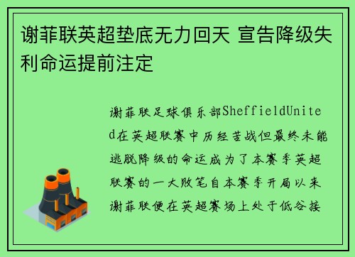 谢菲联英超垫底无力回天 宣告降级失利命运提前注定
